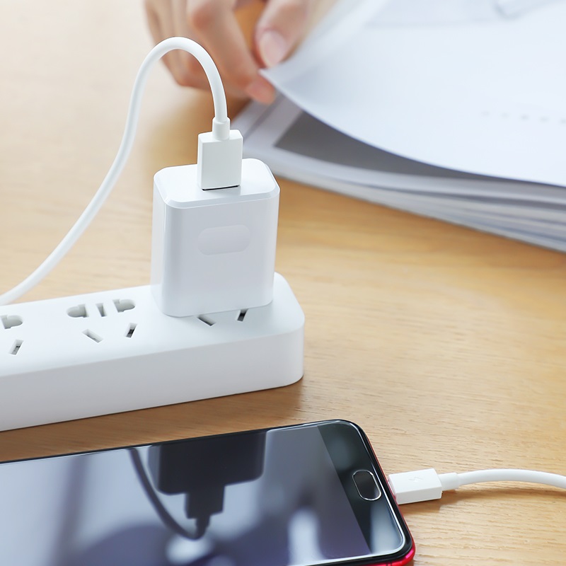 borofone ba32 bright power widely compatible charger cn set with micro usb cable charging