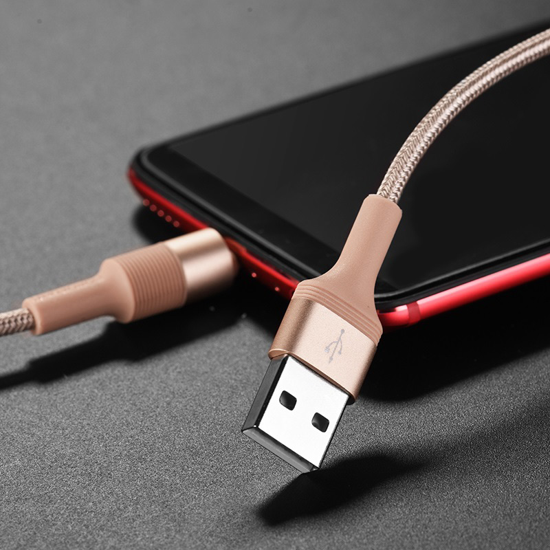 borofone bx21 outstanding charging data cable for usb c interior
