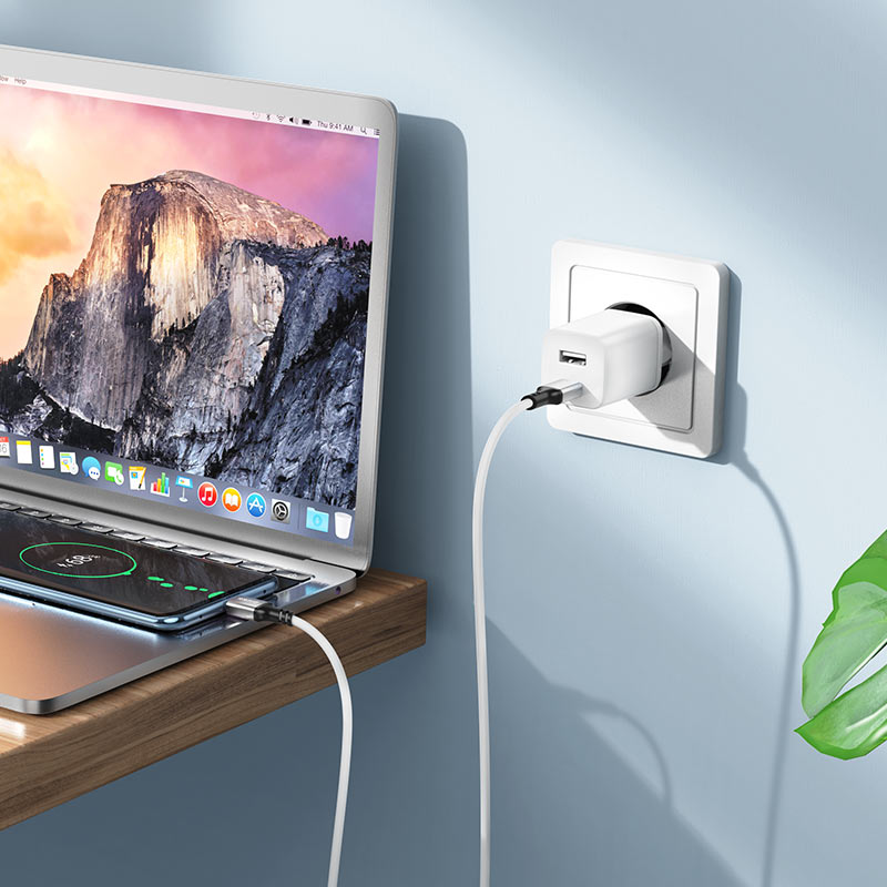 Кабель USB-C на USB-C BX83 Famous 60W