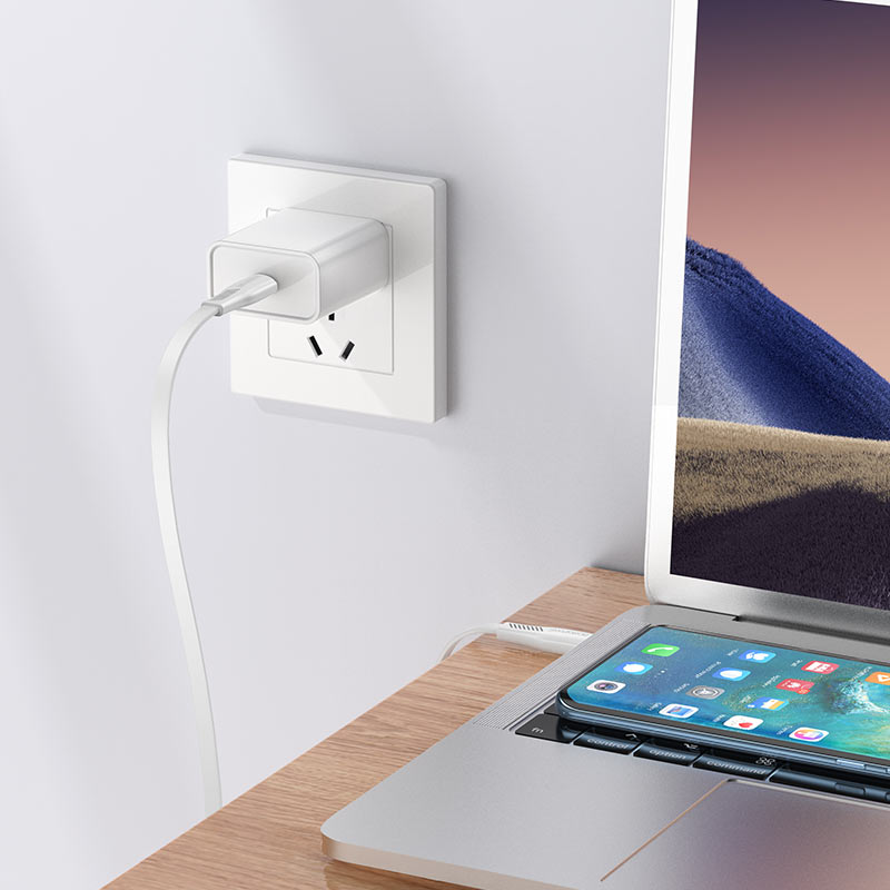 borofone bx85 auspicious 60w charging data cable usbc to usbc charge